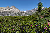 Dalla sponda Est del Lago Devero si ha piena visione della val Deserta e delle cime circostanti (pizzo Fizzo, punta di Valdeserta e Albrunhorn). 